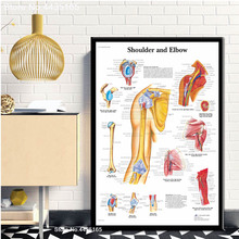 Póster de hombro y codo con sistema musculoso, pósteres e impresiones de Anatomía Humana, pintura en lienzo, arte de pared para decoración del hogar de la habitación, nuevo 2024 - compra barato