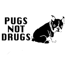 Pugs Not Drugs Dog Car Bumper Sticker Funny Drift Jdm Cute And Interesting Fashion Sticker Decals 2024 - buy cheap