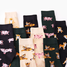 PEONFLY-cerdito/gato/Pug con diseño de animales para Mujer, Calcetines divertidos para Mujer, Harajuku, Kawaii, Sokken, Japón, Reto 2024 - compra barato