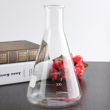 500ml Glass Erlenmeyer Flask Groud Joints 24/29 Laboratory Triangle Flasks 2024 - buy cheap