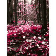 Картина по номерам DIY дропшиппинг 50x65 60x75 см розовый лес романтический пейзаж холст свадебное украшение искусство картина подарок 2024 - купить недорого