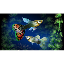 Pintura quadrada completa 5d diy aquário peixe no subaquático grama pintura de diamante kit de bordado 3d decoração para casa h37 2024 - compre barato
