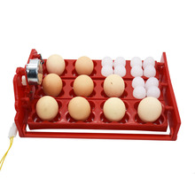 12 Eggs/48 Birds Eggs Incubator Turn Eggs Tray 220V/110V Chicken Bird Automatic Incubator Poultry Incubator Equipment 1set 2024 - buy cheap