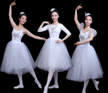 2019 new professional ballet Swan Lake tutu veil costume adult ballet skirt Puff White Classic Ballet Skirt Dress Ballet Costume 2024 - buy cheap