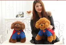Stuffed animal 30cm cute Poodle dog with superman suit plush toy doll gift w2291 2024 - buy cheap