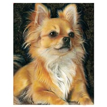 Full Drill Square 5D DIY Diamond Painting chihuahua dog Diamond Embroidery Cross Stitch kits rhinestones painting C322 2024 - buy cheap