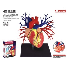 4D 1:1 Heart Intelligence Assembling Toy HumanOrgan Anatomy Model Medical Teaching DIY Popular Science Appliances 2024 - buy cheap