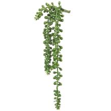 Flores carnosas de Vid verde para decoración de plantas, perlas artificiales suculentas, flores colgantes de ratán para pared 2024 - compra barato