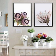 Splspl nórdico flor posters e impressões rei protea arte da parede fotos para sala de estar moderna decoração do quarto pintura da lona 2024 - compre barato