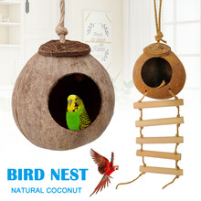Carcaça de coco pássaros, ninho reprodução, hamster para escalar, balanço, brinquedo pendurado, 2024 - compre barato