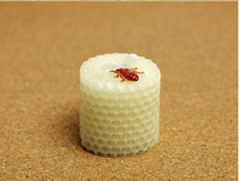 Molde de silicona para jabón de abeja 3D, arte de panal de abeja, vela, molde para dulce pastelero de Chocolate, herramientas de decoración de pasteles 2024 - compra barato