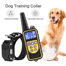 Collar eléctrico de entrenamiento para perros, collarín con Control remoto para mascotas, resistente al agua, recargable, con pantalla LCD, para todos los tamaños, 800m 2024 - compra barato