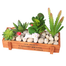 Conjunto de plantas de Cactus carnosas artificiales, bonsái al estilo, paisaje local, flor decorativa para decoración de cajas 2024 - compra barato