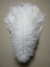 50 pc quality white ostrich feathers, 16-18inches / 40-45cm, DIY wedding decorations 2024 - buy cheap
