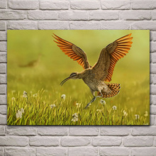 Arte animal pássaro cartazes de natureza primavera imagem da parede pintura casa sala de estar decoração para quarto ea121 2024 - compre barato