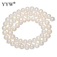 Pearl Beads Natural Freshwater Pearl Loose Beads Freeform Potato white Gem Stone Gem Beads for Jewelry Making 2017 new arrival 2024 - buy cheap