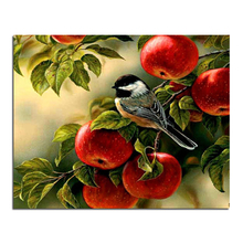 Birds eat apple  50x40  Diamond embroidery Diy diamond  square drill rhinestone pasted Crafts Needlework home decoration 2024 - buy cheap