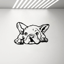 Adesivo de parede de vinil bulldog, decoração para sala de estar, filhotes, arte, janela de parede, tatuagem, cuidado com o salão de beleza, pôster g28 2024 - compre barato