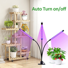 Interior led crescer tiras de luz para flores espectro completo phyto lâmpada para plantas lâmpadas usb fitoampy para prateleiras mesa plantas ervas 2024 - compre barato