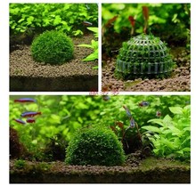 Mini Moss Ball Aquarium Decoration Plants Natural Filter for Fish Tank Shrimp Mineral Balls Ornaments DIY Aquatic Plant New live 2024 - buy cheap