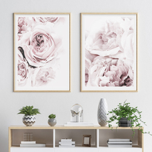 Botanical Pink Peony Poster Nordic Wall Art Flower Canvas Posters and Prints Painting Pictures For Living Room Modern Decoration 2024 - buy cheap