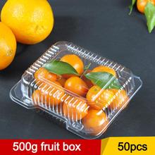 50pcs/set Safety Disposable Fruit Box Square Clear Hinged Take-Out Plastic Containers for Salad Sandwich Vegetable ON SALE 2024 - buy cheap