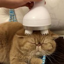 Electric Cat Massager 3D Charging Intelligent Head Pet Dog Massage Automatic Rotate Waterproof Dragon Claw Clean Cat Accessories 2024 - buy cheap