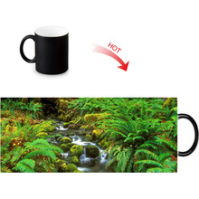 Rainforest Hot Reactive Sensitive  Mugs Black White Changing Color Ceramic Mug Porcelain Tea Coffee Cup 12oz 2024 - buy cheap