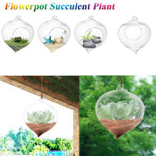 Flowerpot Succulent Plant Pot Container Hanging Glass Vase Home Garden Decor High Borosilicate Glass 2024 - buy cheap
