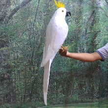 Grande 80cm simulação papagaio branco penas cockatoo papagaio pássaro modelo casa decoração do jardim presente h1130 2024 - compre barato