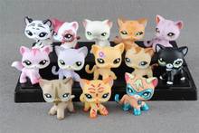 1pcs Littlest pet Collection Figure Short hair cat kitty Animals Child Loose Cute Toys 2024 - buy cheap