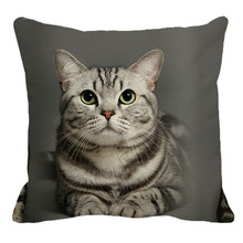 Xunyu capa de almofada confortável 45cm x 45m, animal somalino, estampa de gato, lindo para sala de estar, decoração de sofá, capa de almofada yh007 2024 - compre barato