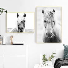 Black And White Horse Head Poster Art Painting , Animal Horses Photography Canvas Art Prints Home Room Wall Picture Modern Decor 2024 - buy cheap