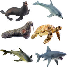 6 pieces Real life Animal Ocean Fishs Models Fish Whale Turtles Dolphins Model Figures Kids Bath toys Learning Education 2024 - buy cheap