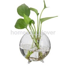 3 Pieces Glass Hydroponic Vase Micro Landscape Bottle Terrarium Container 2024 - buy cheap