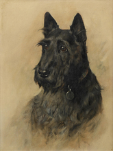 Frete grátis pintura a óleo animal preto cão pintura tela impressa em tela imagens decorativas de arte de parede 2024 - compre barato