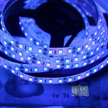 Tira de luces LED de pesca nocturna, 120LED/m, 2835 SMD, ultravioleta, 395-405nm, luz negra, impermeable, para barco 2024 - compra barato