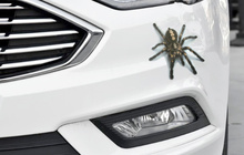 3D Car Sticker Animals Bumper Spider Gecko Scorpions For Skoda Rapid Octavia A5 RS A7 Yeti Fabia Scout Superb Citigo 2024 - buy cheap