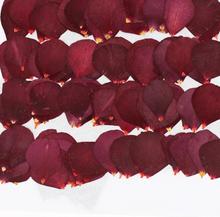 120pcs Dried Pressed Flower Rose petals For Epoxy Resin Pendant Necklace Jewelry Making Craft DIY Accessories 2024 - buy cheap