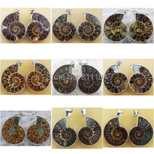 10 Pairs/Lot Mixed Natural Ammonite shell stone Pendant Bead wholesale 2024 - buy cheap