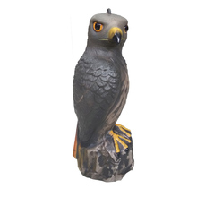 Plastic Repeller Bird Deter Scarer Scarecrow Eagle Hunting Decoy Garden Yard Anti Bird Mice Pest Control Detterrent 2024 - buy cheap