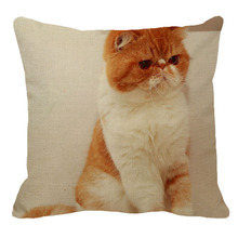 Xunyu 45cm x 45m bonito animal garfield gato novo linho confortável capa de almofada sala estar sofá decoração capa de almofada yh003 2024 - compre barato