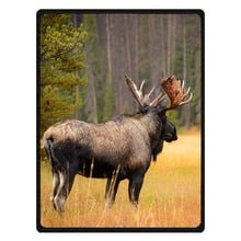 Soft Winter Warm Sofa Plaid Coral Fleece Bed Blanket North American Moose Printed Plane Travel Throw Blankets Free Shipping 2024 - buy cheap