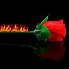 Волшебный реквизит трюк огонь фонарь роза цветок сцена представление мастерство шоу комплект 2024 - купить недорого