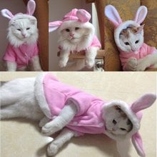 Easter Bunny Cute Pet Dog Costume Clothes Hooded Coat Clothing for Dogs Fleece Cat Puppy Warm Rabbit Dressing  Dog Outfit 21 2024 - buy cheap