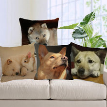 XUNYU-funda de cojín para perro mascota, cubierta de lino estampada, funda de almohada decorativa para el hogar, sofá, coche, 45x45cm 2024 - compra barato