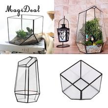 2 Set Glass Terrarium Hexagonal and Cube Shape Miniature Garden House Micro Landscape Greenhouse Decor 2024 - buy cheap