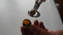 Quail eggs scissors   Quail Egg Cutter   Eggs Opener  Quail eggs scissors 2024 - buy cheap