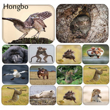 Hongbo carpete de porta de animais estiloso, 40*60cm, "laranja de coruja de entrada, porta, lavável, cozinha, chão de banheiro 2024 - compre barato