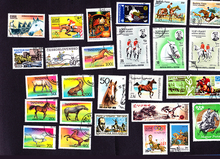 20Pcs Topic Stamp World Horse Stamps All Different From Many Countries NO Repeat Marked Postage Stamps Collecting 2024 - buy cheap